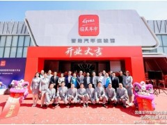 国美车市智能汽车体验馆开业，一站式逛遍30+新能源品牌