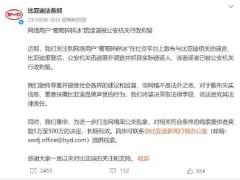 比亚迪法务部：网络用户“葡萄碎碎冰”造谣邻居家比亚迪海鸥充电爆炸把自家房子烧了，被公安机关行政拘留