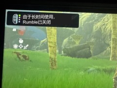 Switch2被曝震动功能“过劳”保护机制，玩家高频操作触发自动暂停引热议